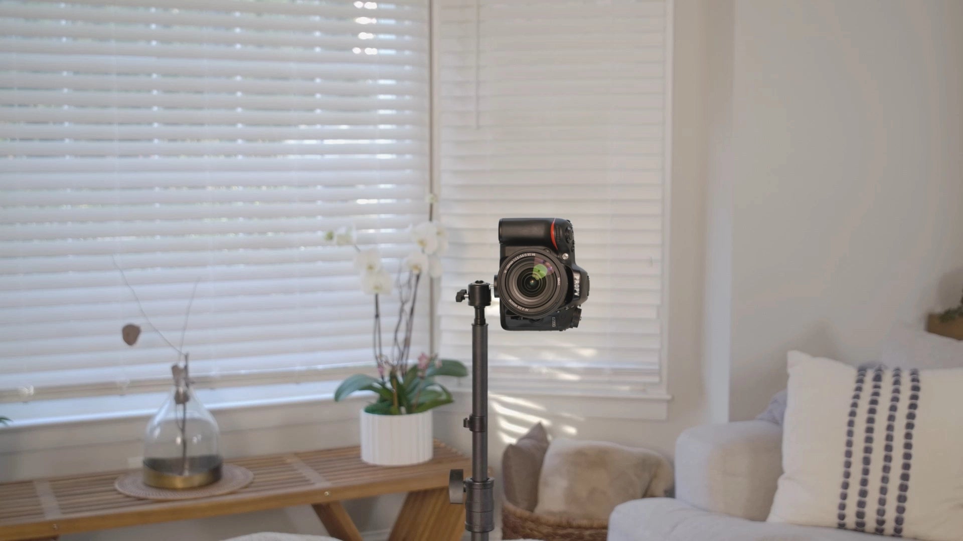 Cameras on the PropVue stand — 360° swivel head · 1/4" thread